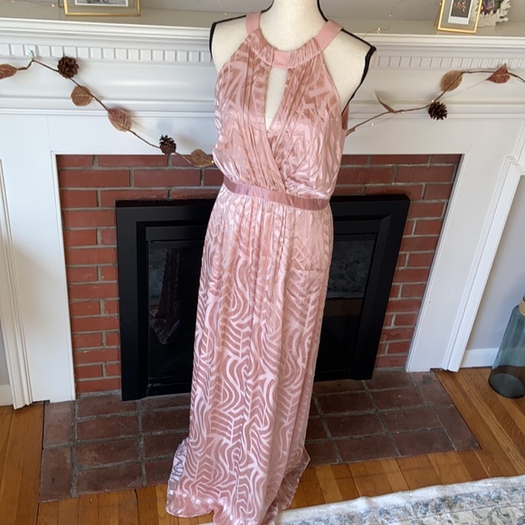 Shoshanna | NWT Blush Gown - Picture 4 of 13